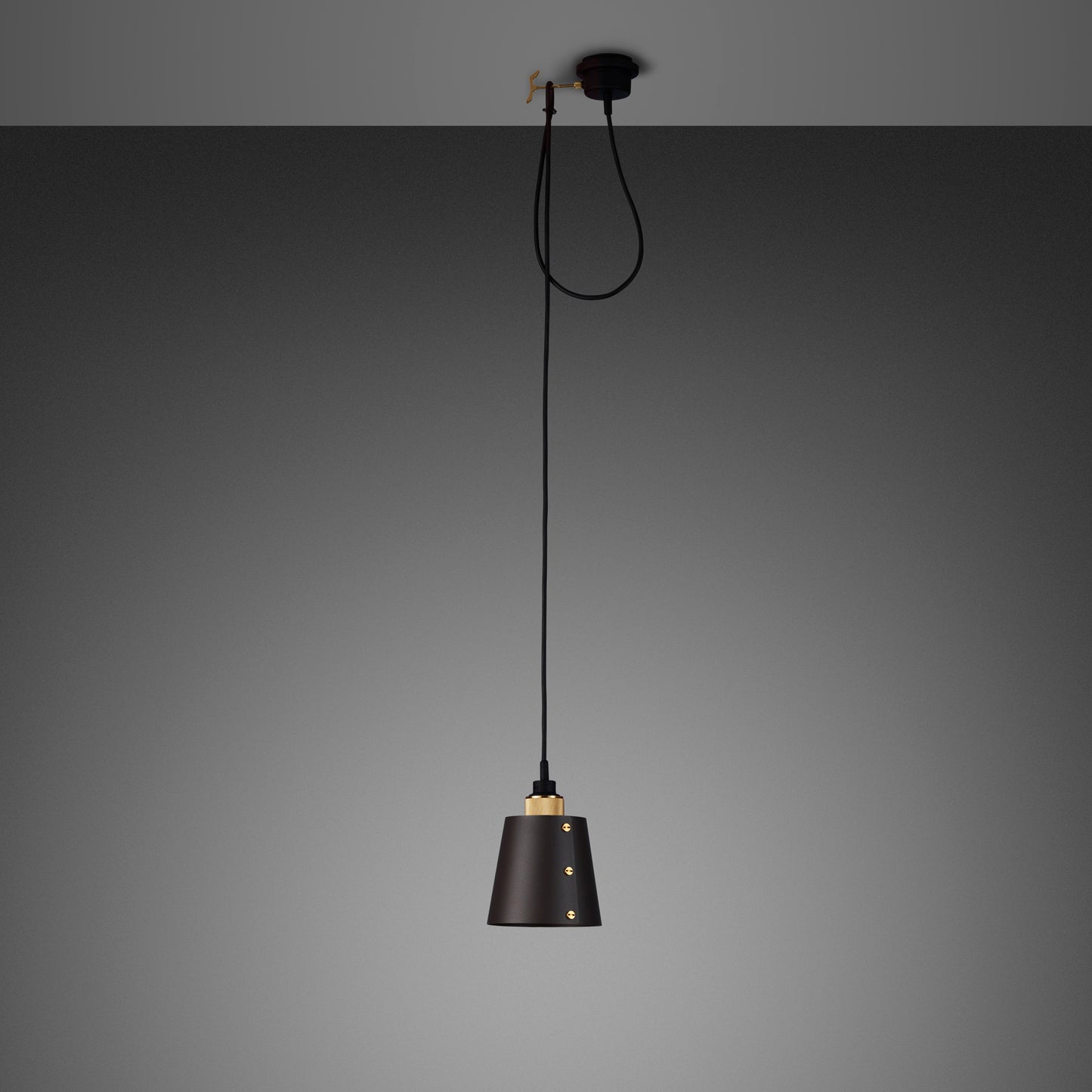 Hooked 1.0 Small Pendant Light / Graphite Brass, front view.
