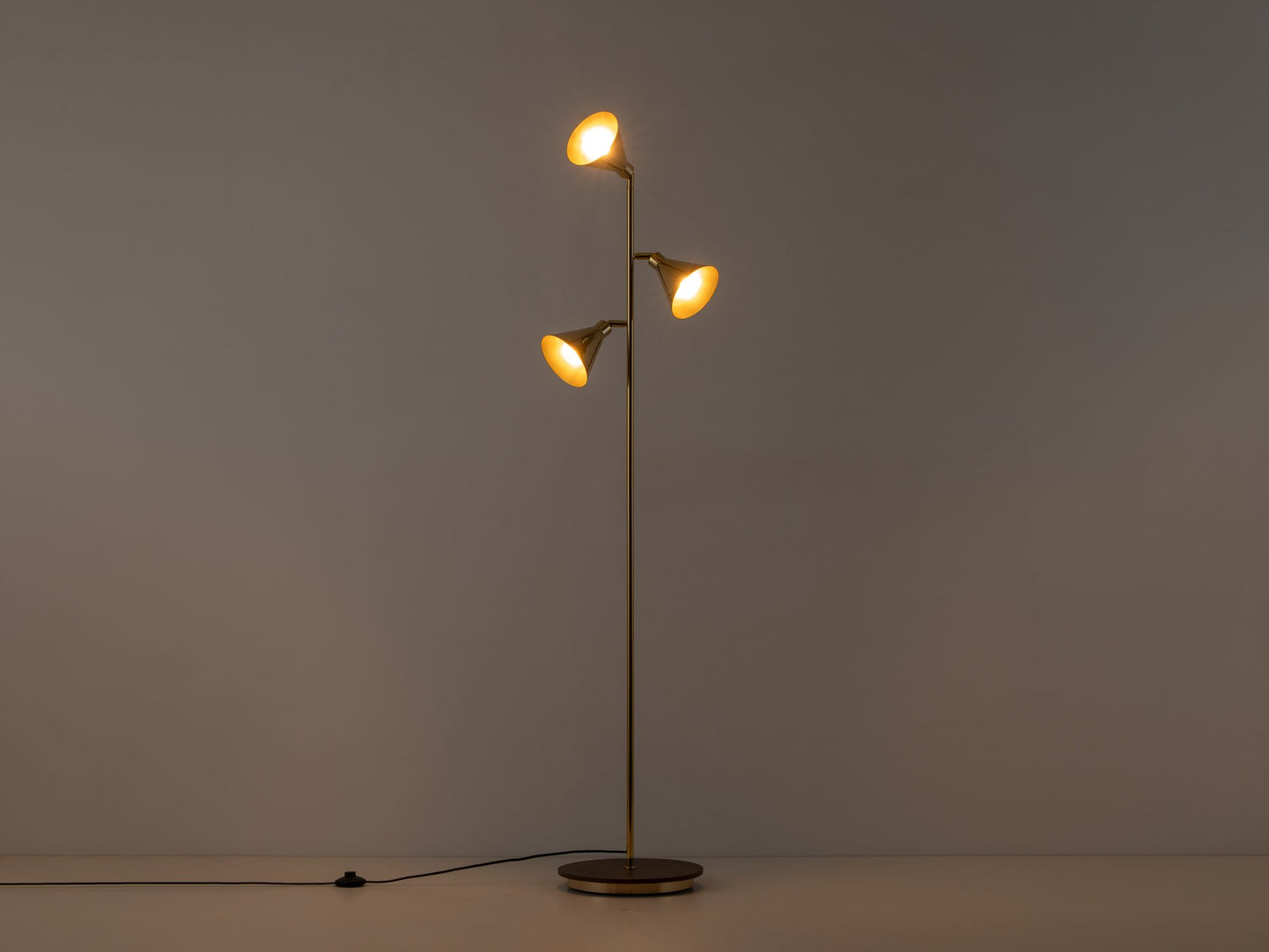 Brass Cone Floor Lamp