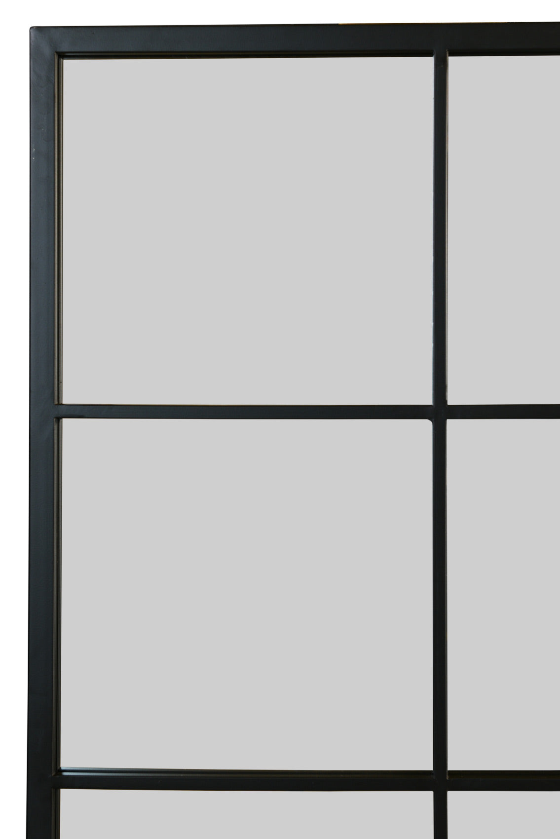 Genestra - Contemporary Black Wall Mirror with Garden Design 69" X 43" (174CM X 110CM)-5