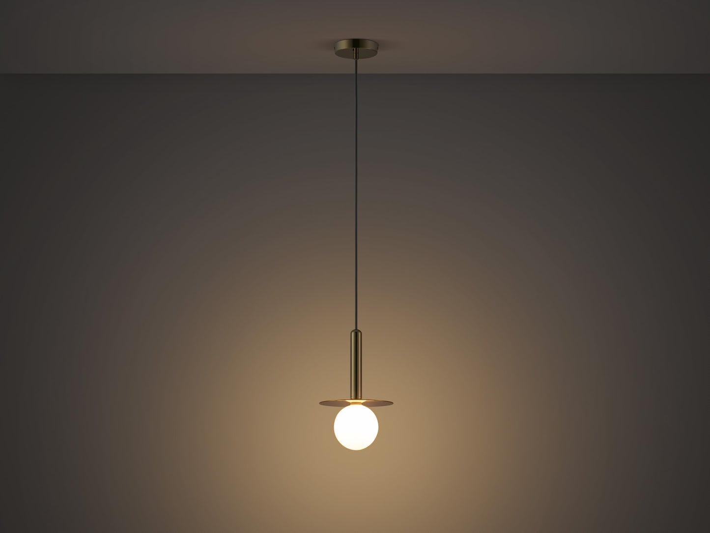 Charcoal Grey Plate Pendant Light