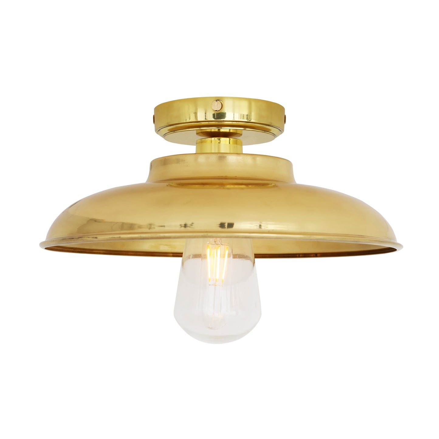 Darya Industrial Brass Ceiling Light IP65 Product Shot