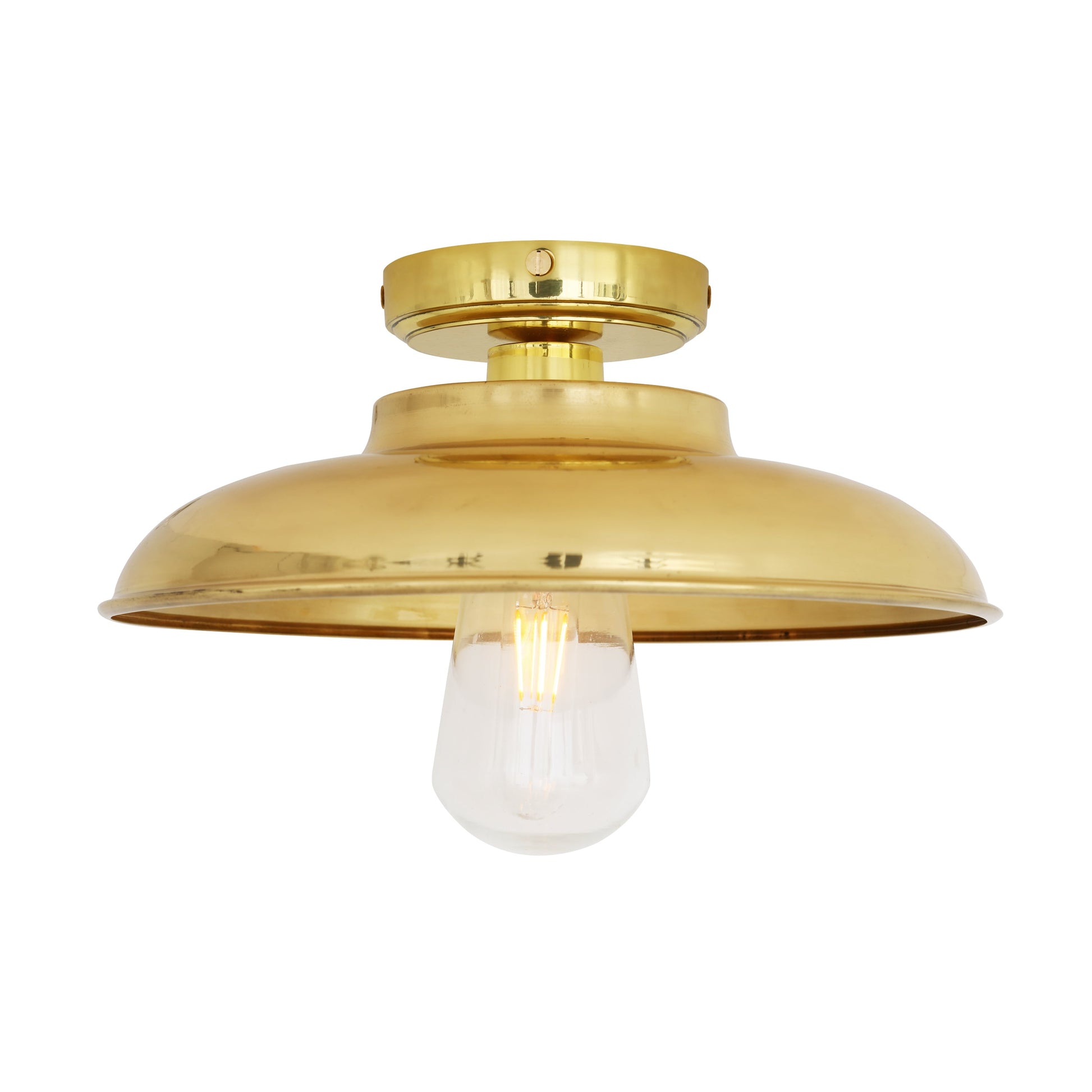 Darya Industrial Brass Ceiling Light IP65 Product Shot