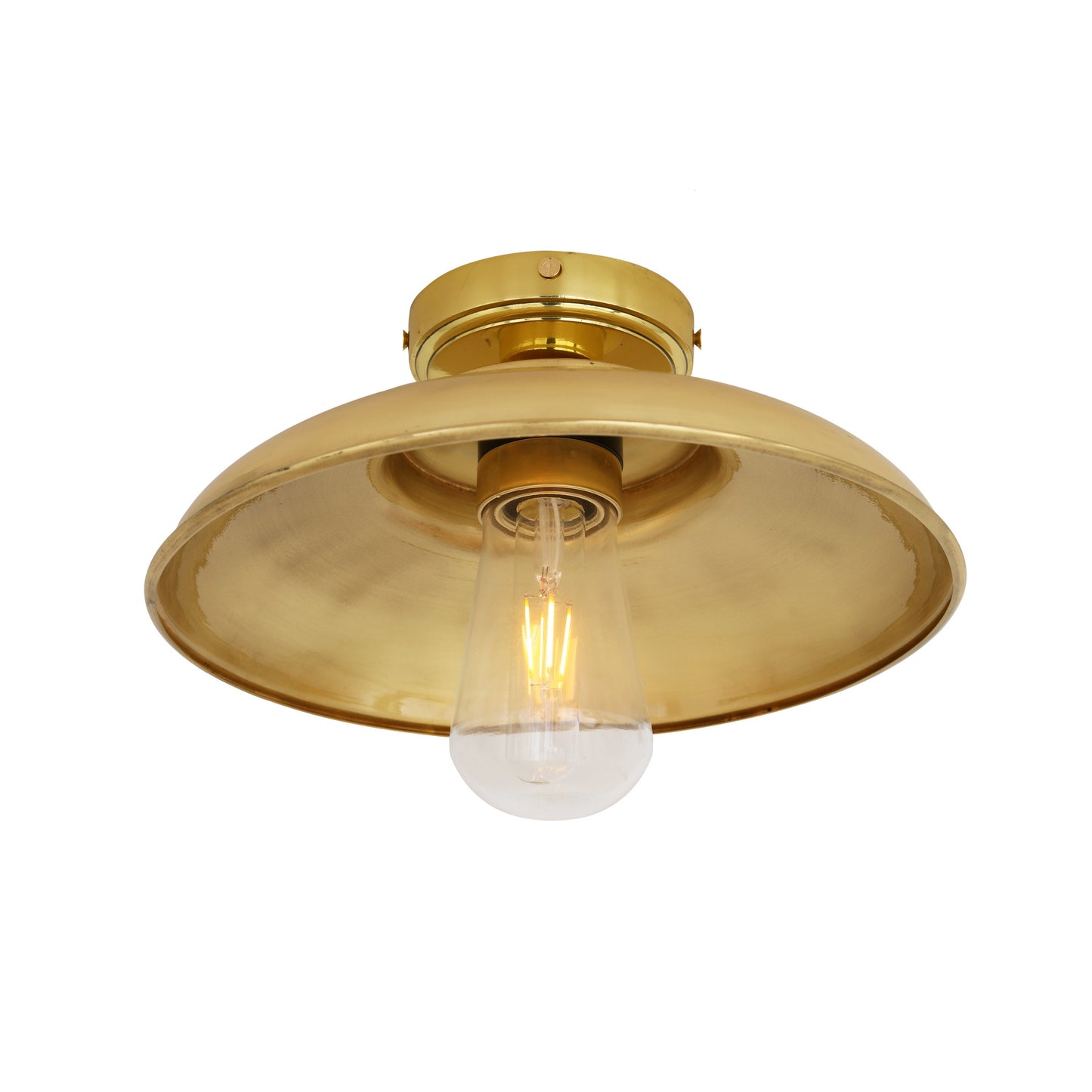 Darya Industrial Brass Ceiling Light IP65 Product Shot