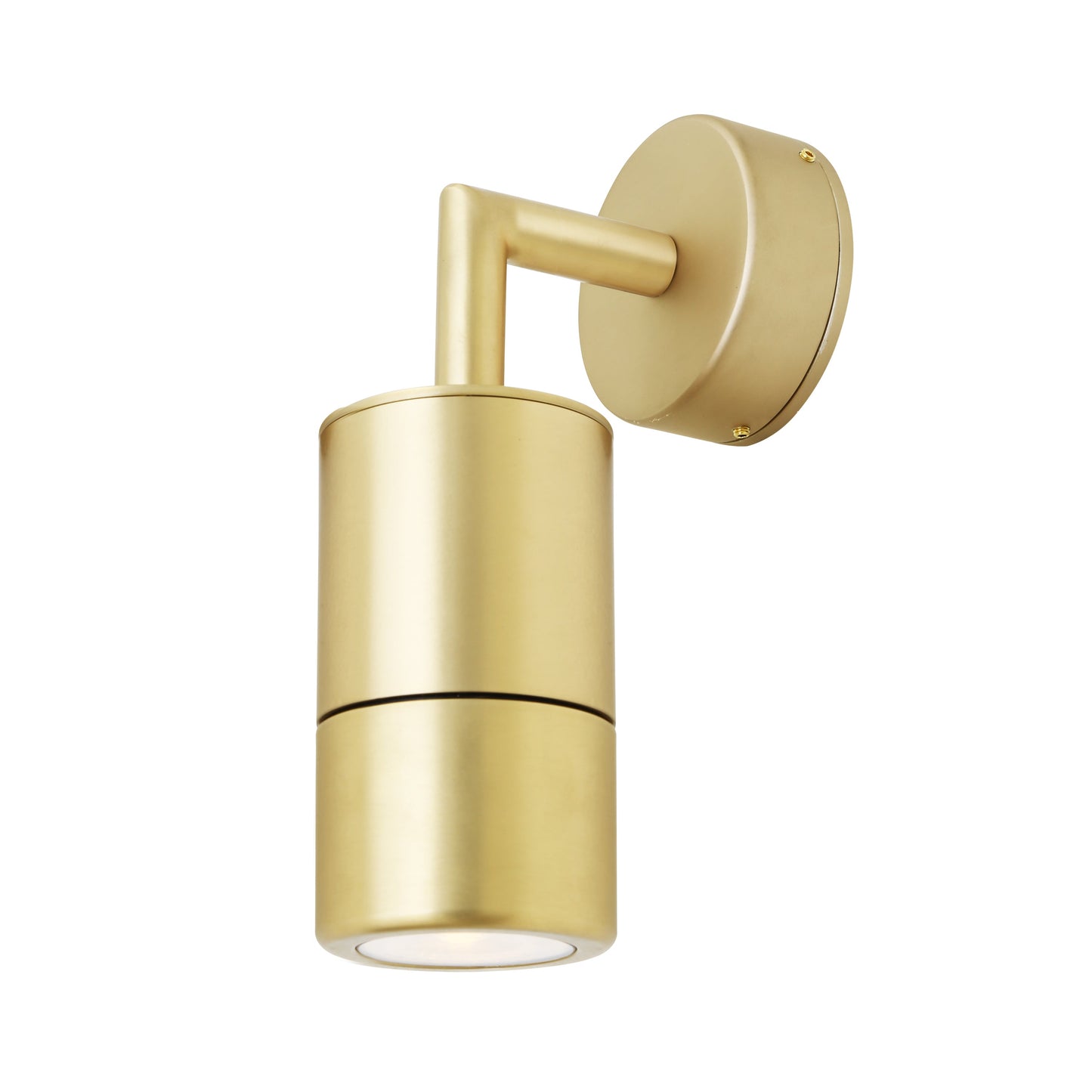 Ennis Brass Spot Wall Light IP44 / IP65