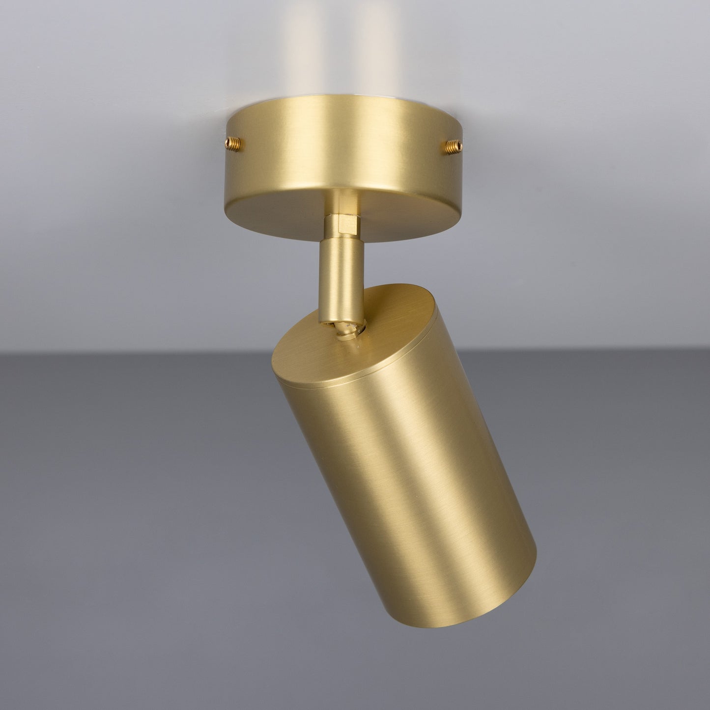 Evanston Directional Brass Ceiling Spot Light Product Shot