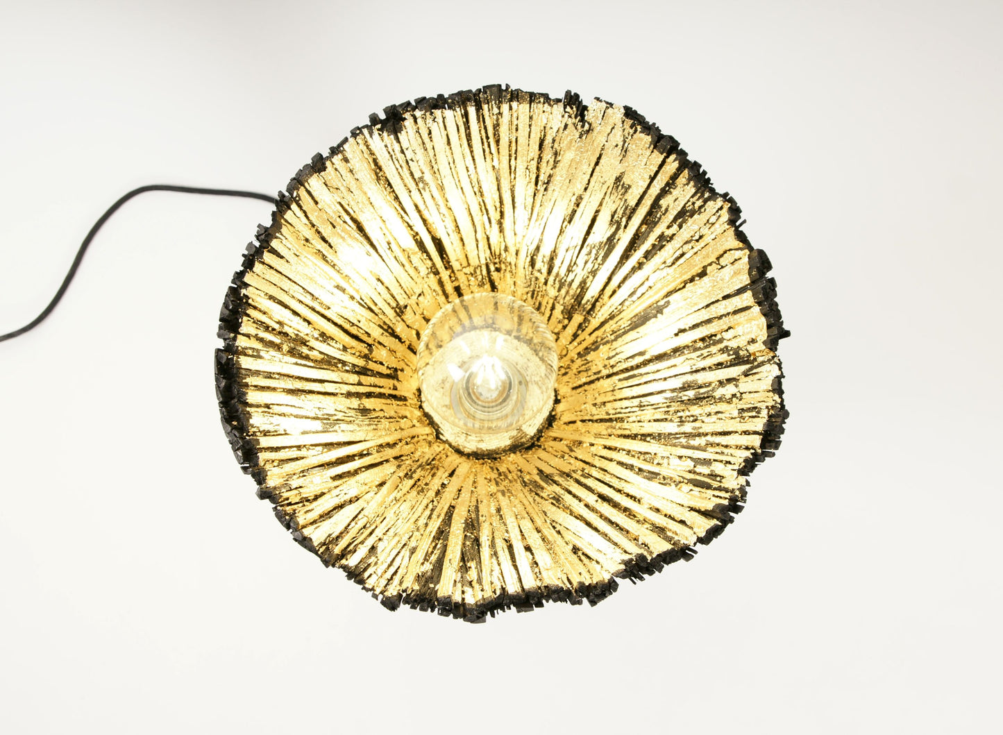 Pressed Wood Table lamp, from above