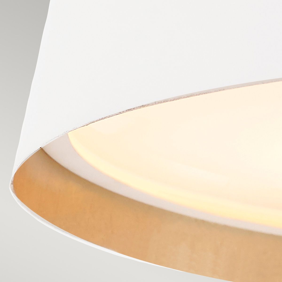 Asher Light Flush Light in Matte White & Gold