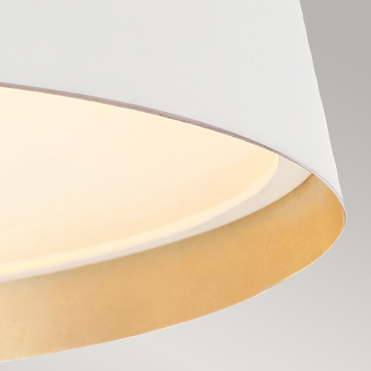 Asher Light Pendant in Matte White & Gold