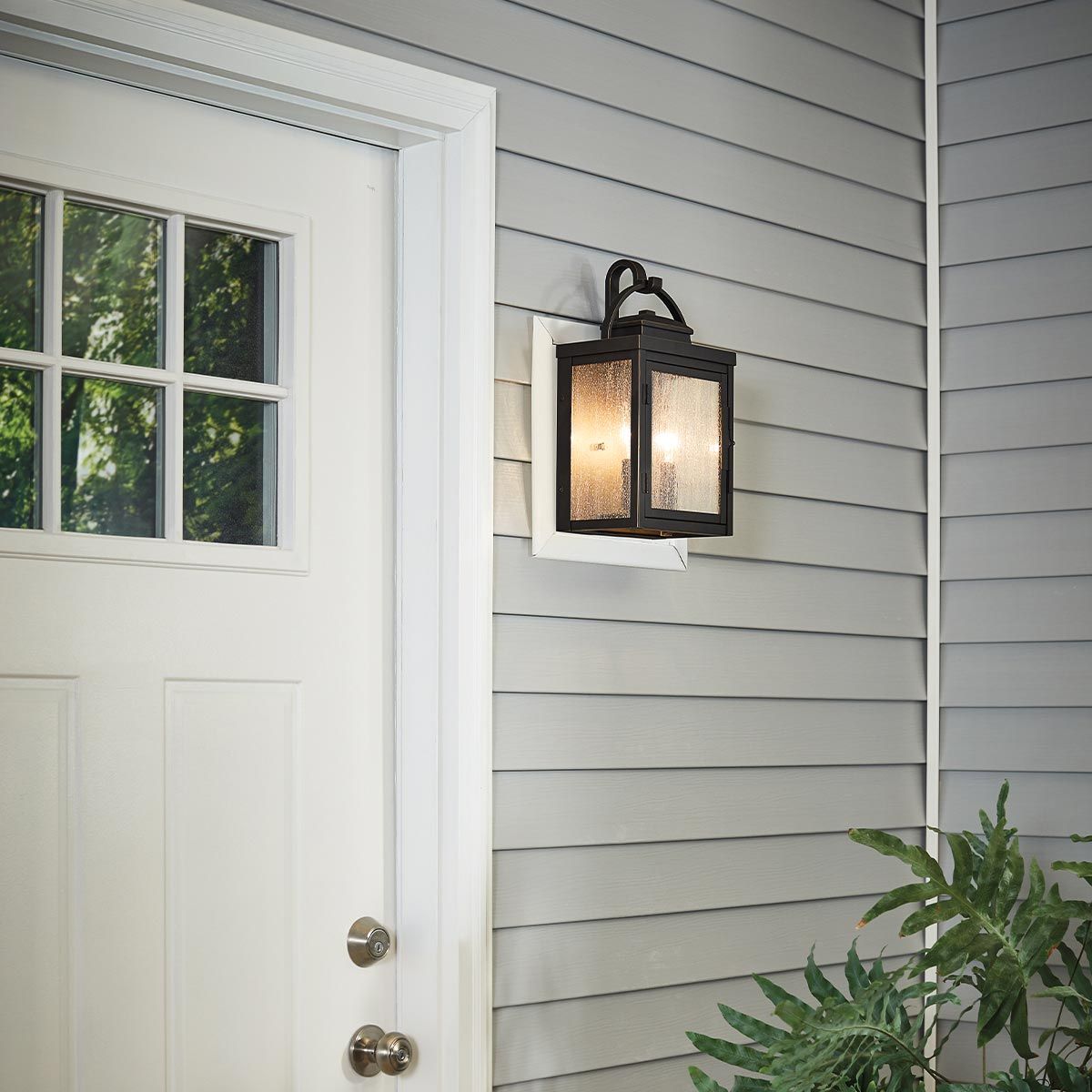 Carlson Light Wall Lantern in Rubbed Bronze