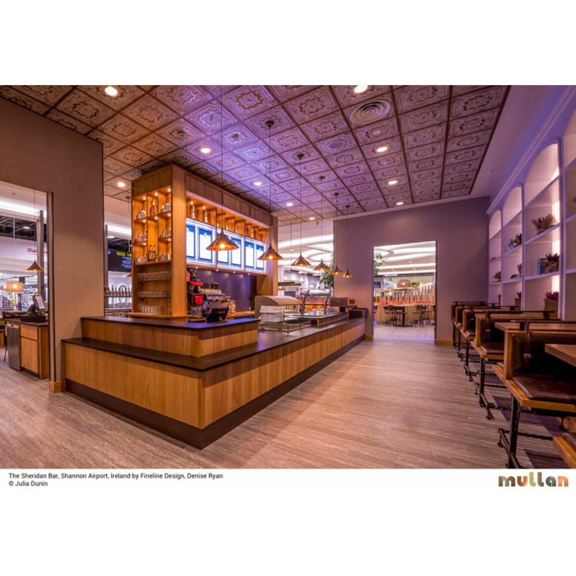 Nerissa Industrial Brass Pendant Light IP65