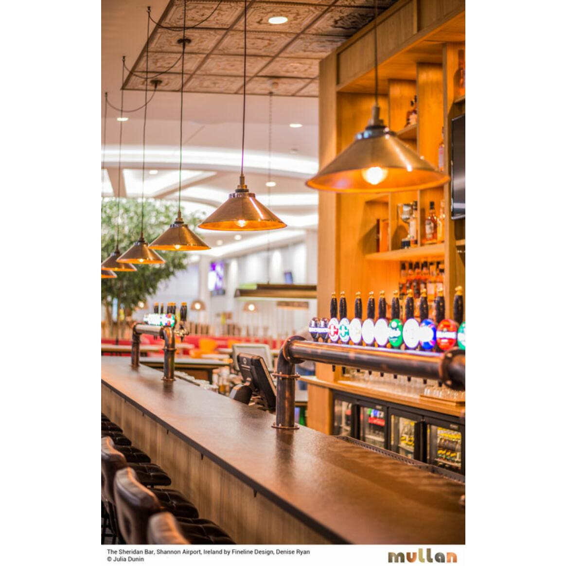 Nerissa Industrial Brass Pendant Light IP65