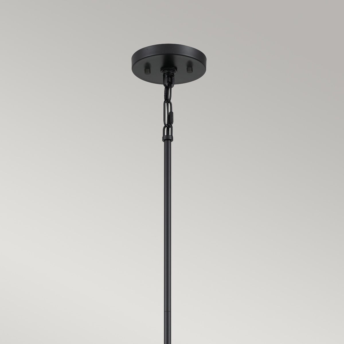 Bismarck Light Chandelier in Earth Black