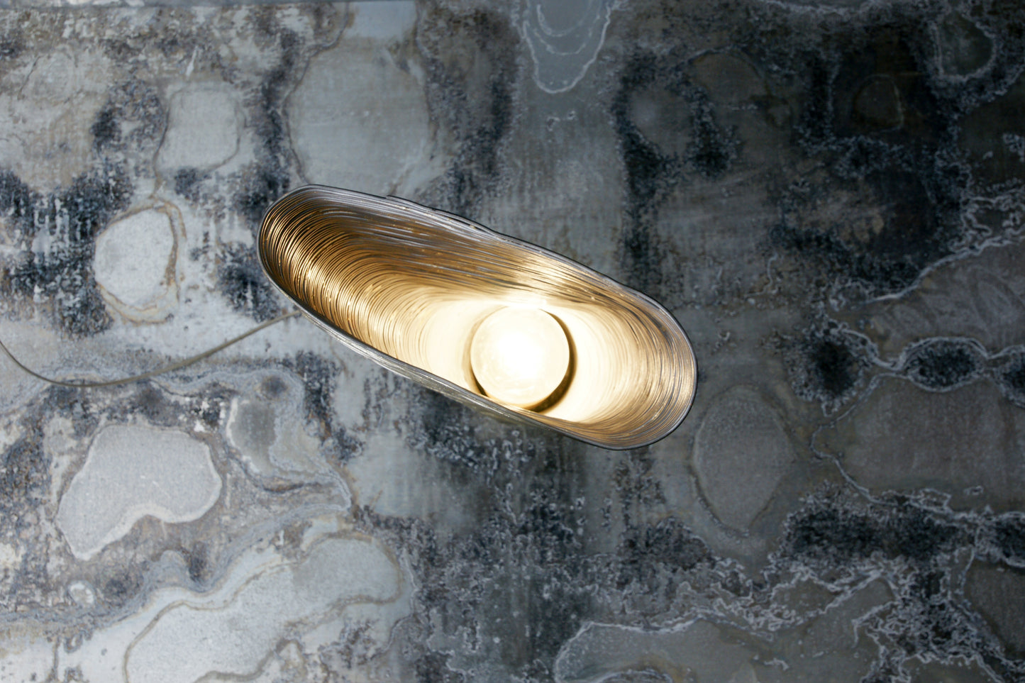 Wrap Beech Table Light, from above on