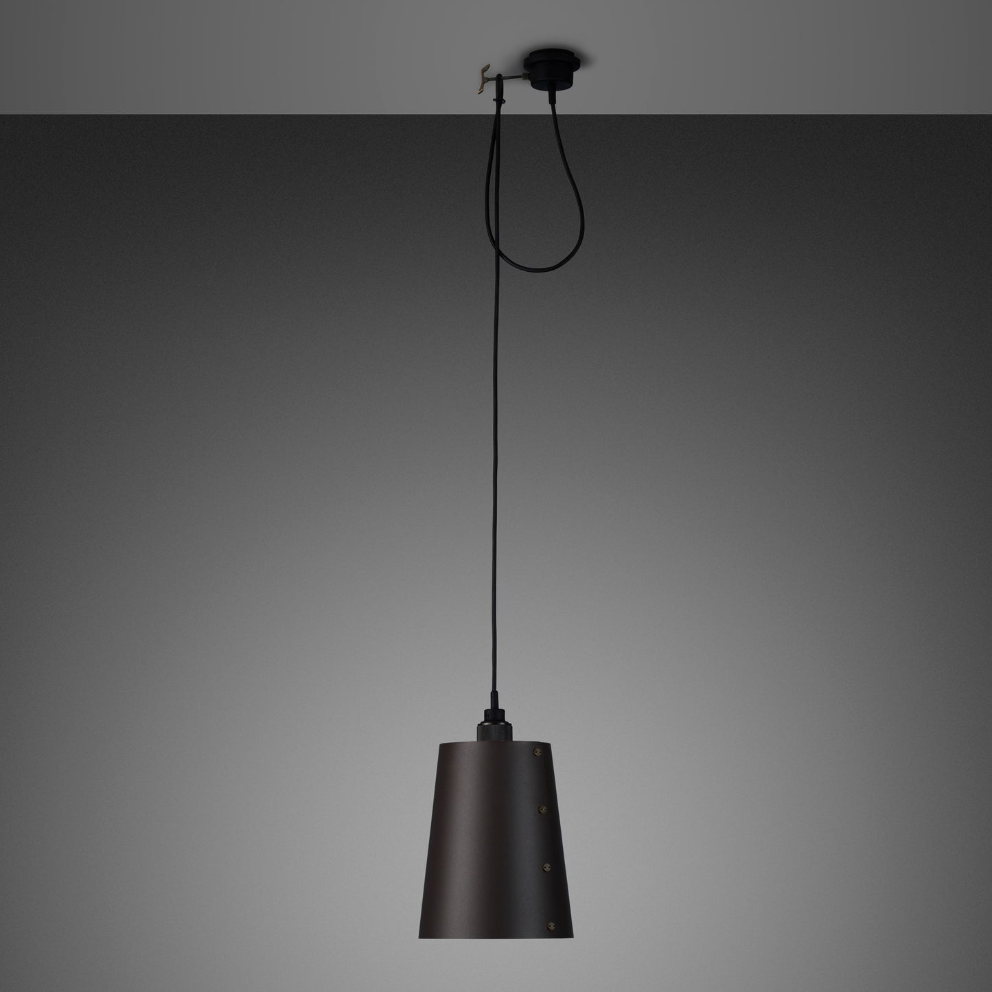 Hooked 1.0 Large Pendant Light / Graphite Smoked bronze, front view.