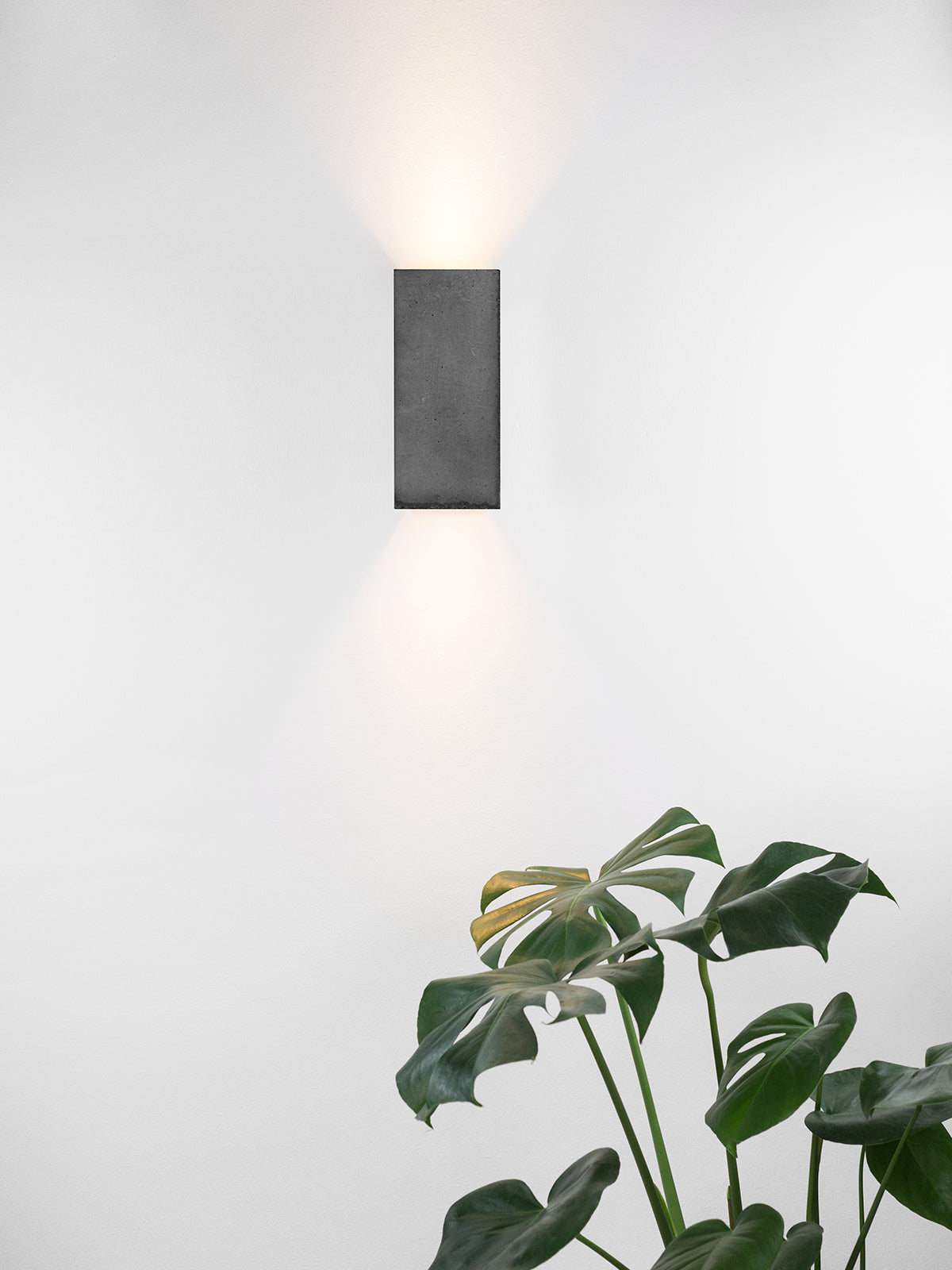 [B8] Dark Wall Light Rectangular still 7