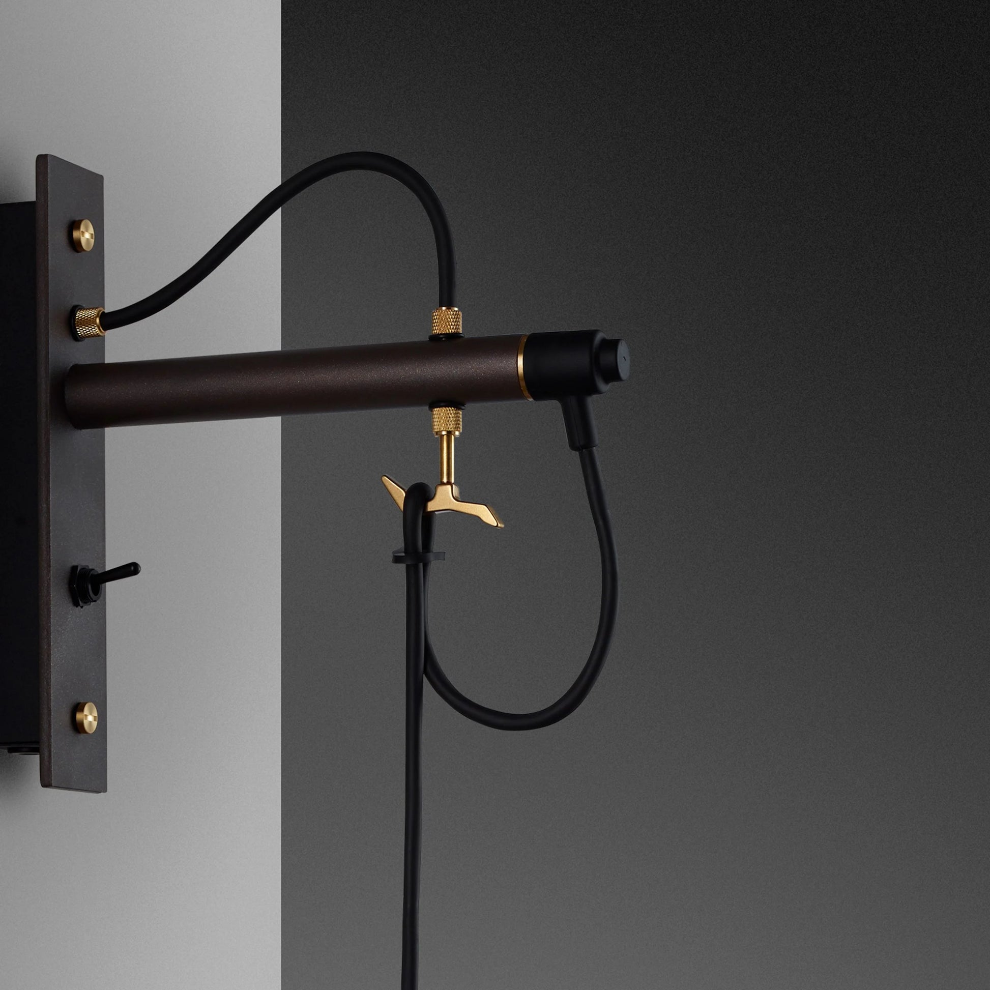 Hooked Wall Light/ Nude/ Graphite Bronze wall mount 