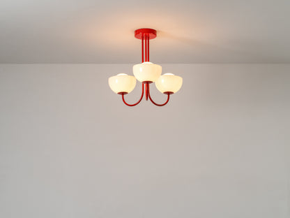 3 Light Dome Ceiling Light