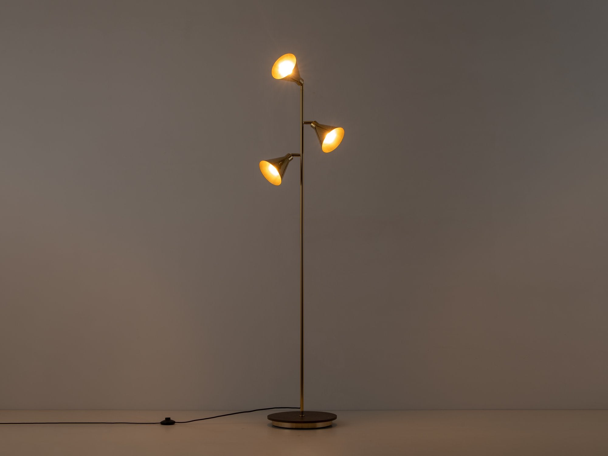 Brass Cone Floor Lamp