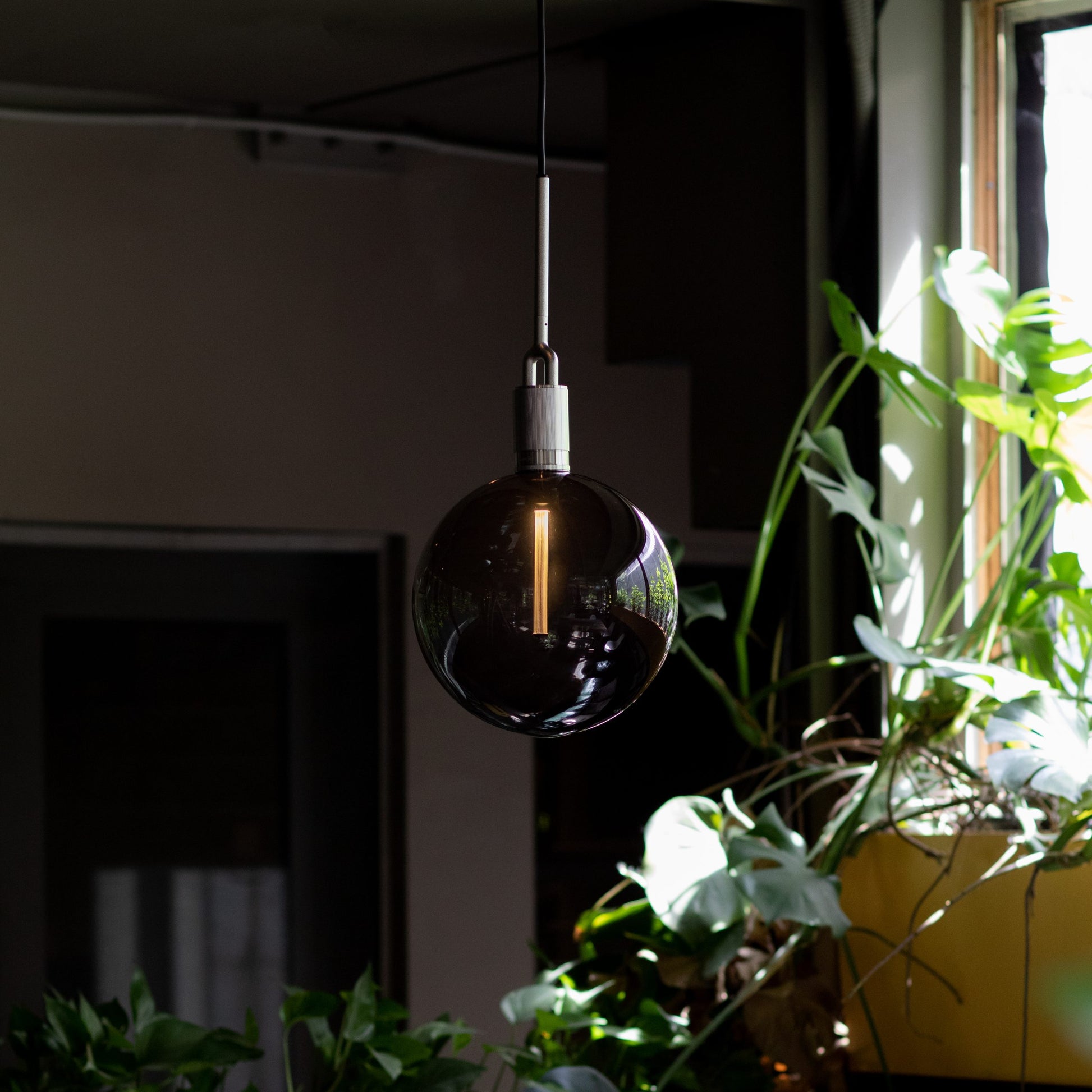 Forked Pendant Light / Globe / Smoked / Large gun metal, front view in setting.
