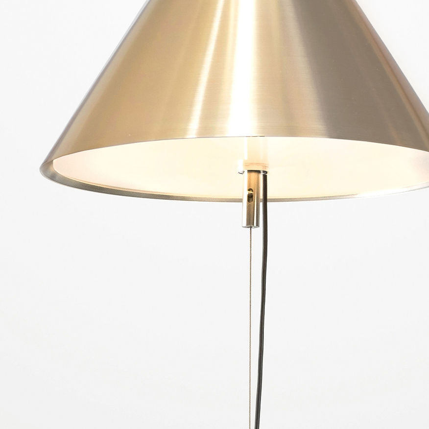 Moss Aureole Lamp