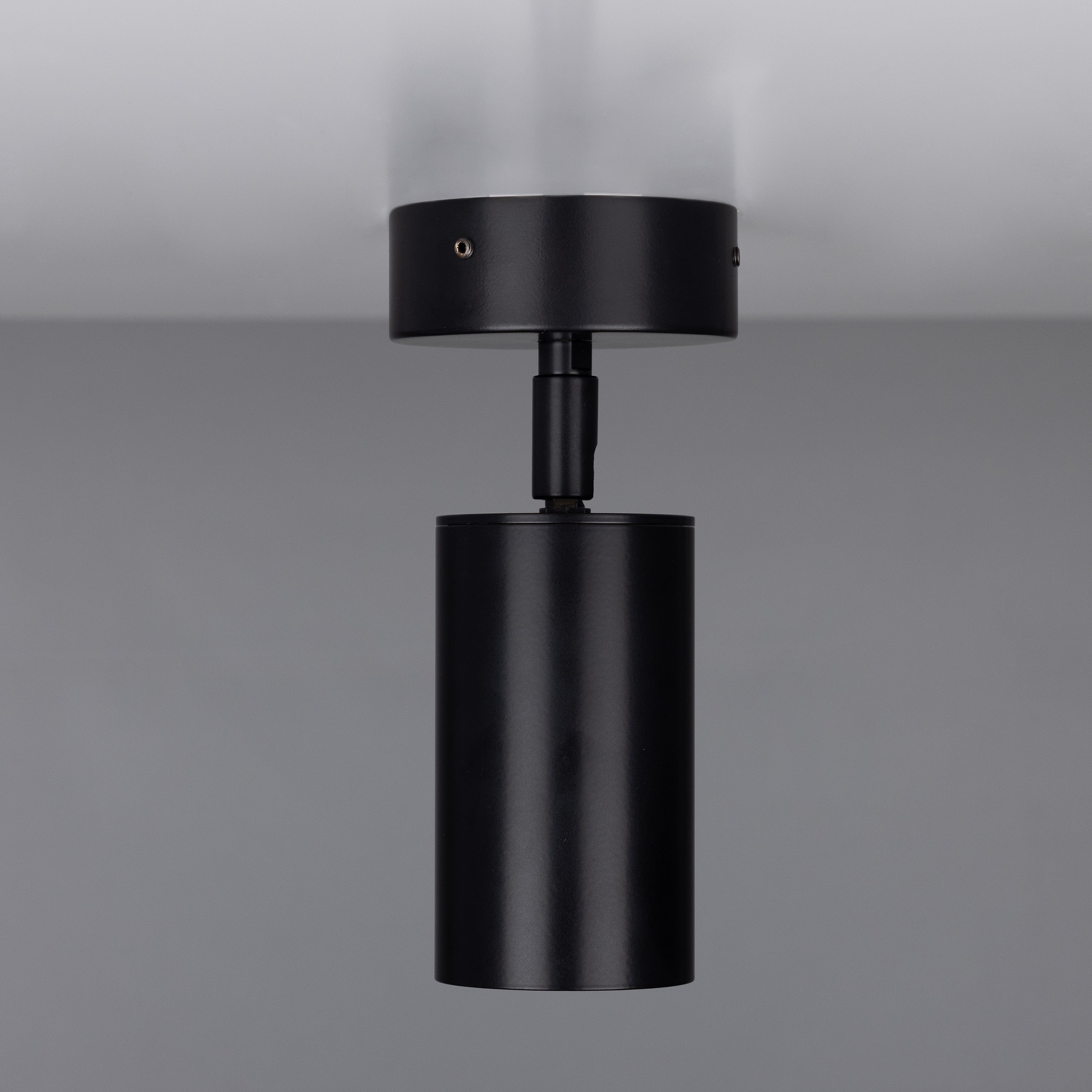 Evanston Directional Brass Ceiling Spot Light Product Shot
