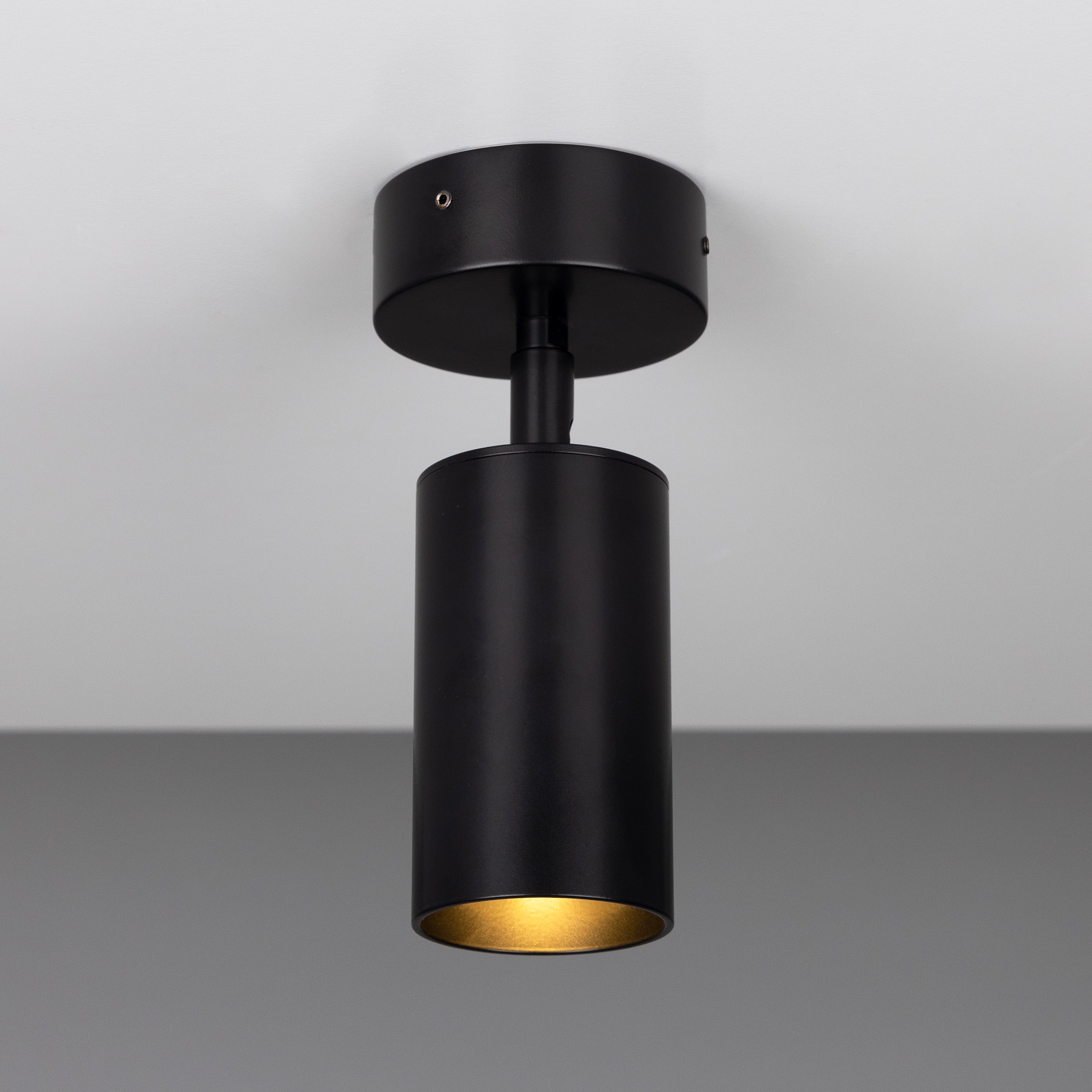 Evanston Directional Brass Ceiling Spot Light Product Shot