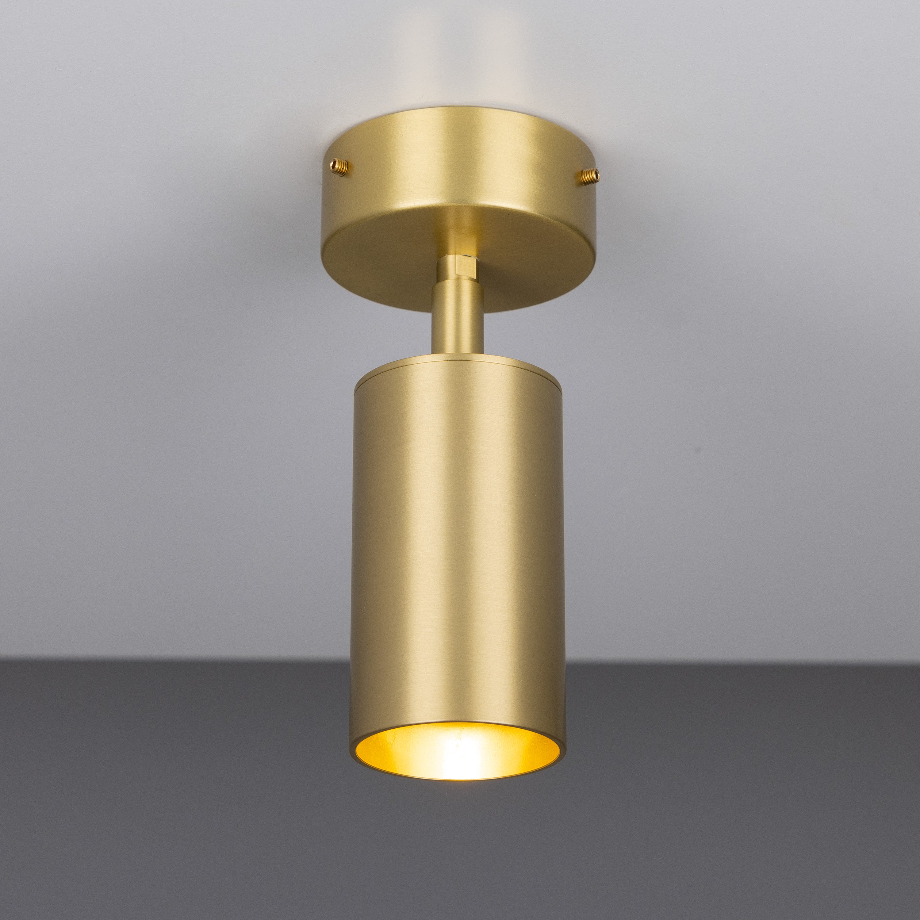 Evanston Directional Brass Ceiling Spot Light Product Shot