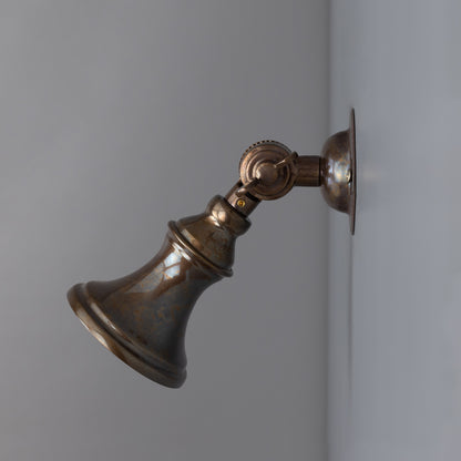Accra Traditional Adjustable Brass Wall Spotlight
