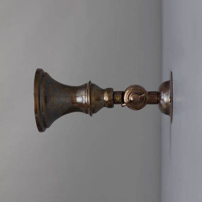 Accra Traditional Adjustable Brass Wall Spotlight