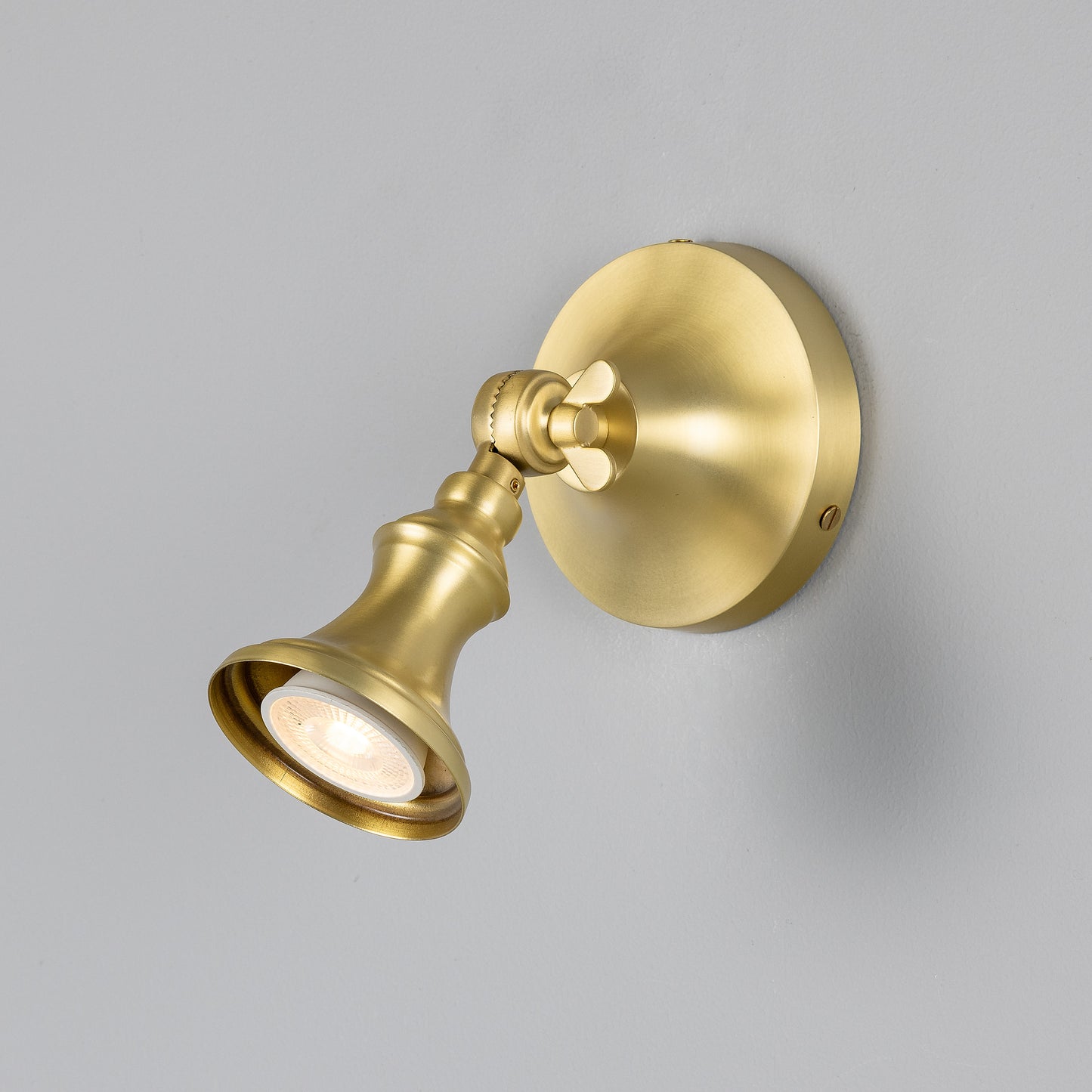 Accra Traditional Adjustable Brass Wall Spotlight