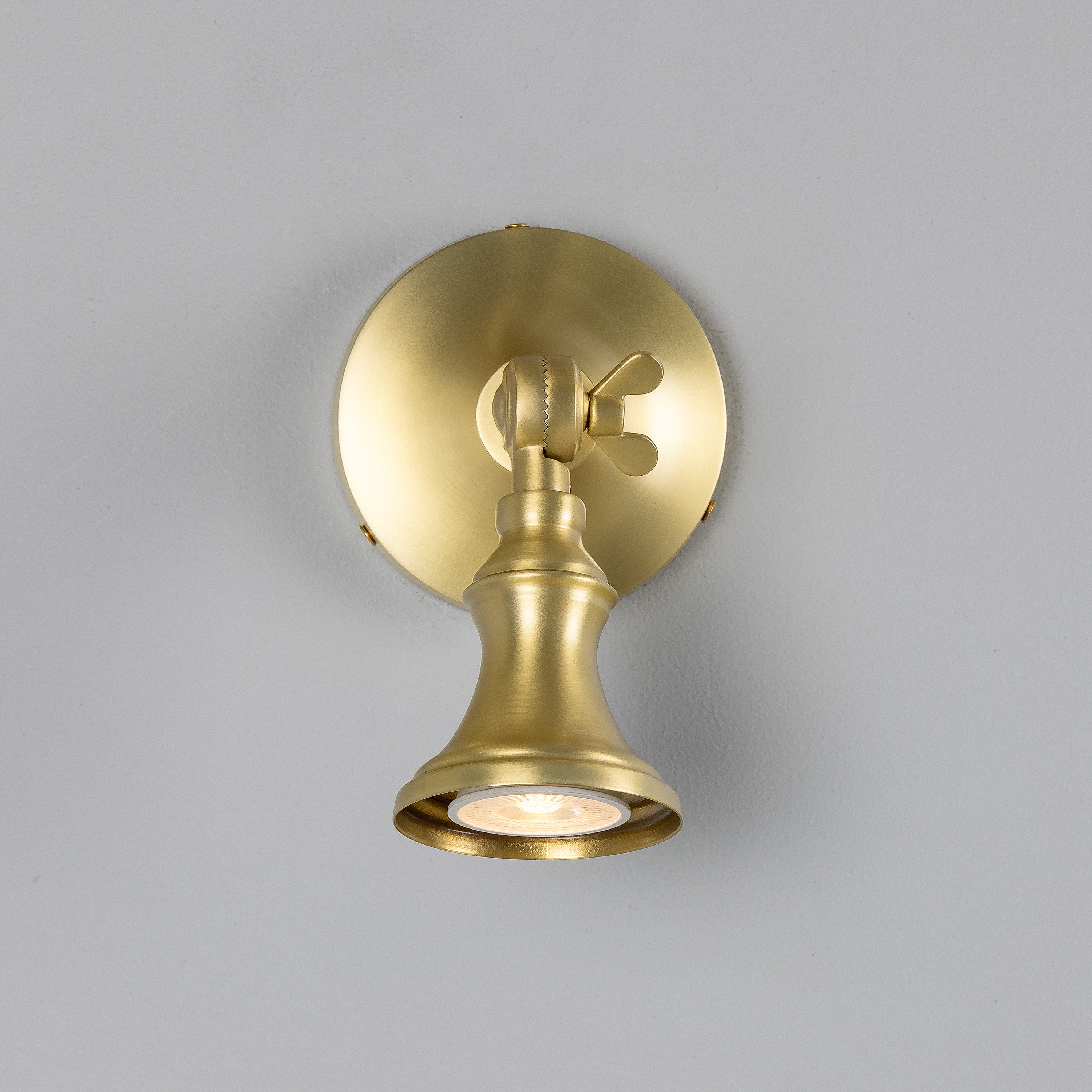 Accra Traditional Adjustable Brass Wall Spotlight