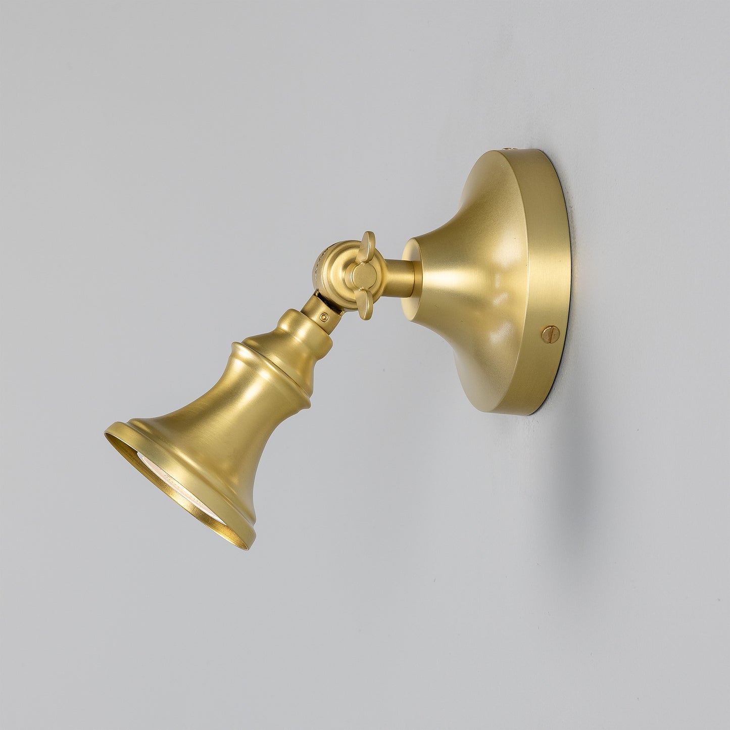 Accra Traditional Adjustable Brass Wall Spotlight