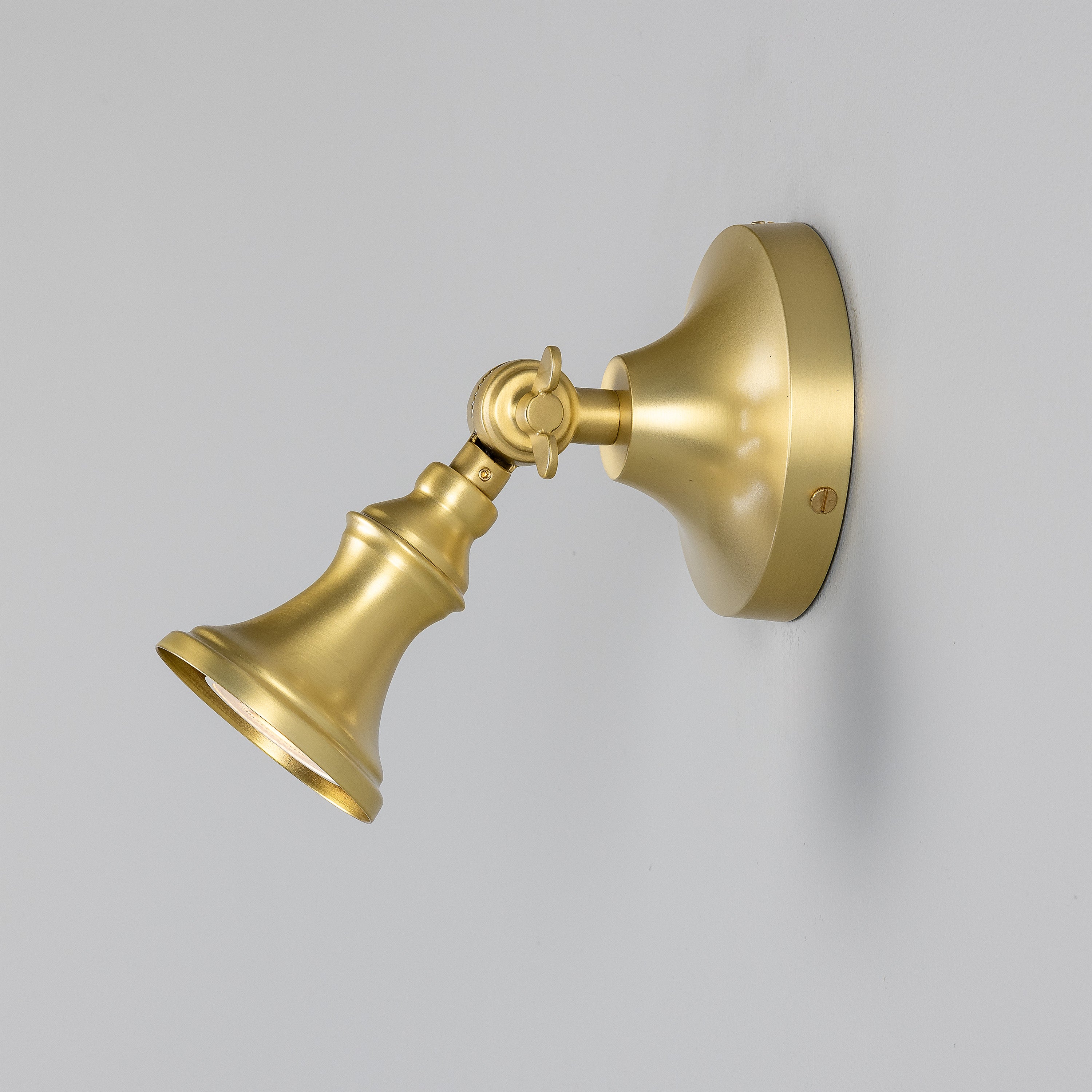 Accra Traditional Adjustable Brass Wall Spotlight
