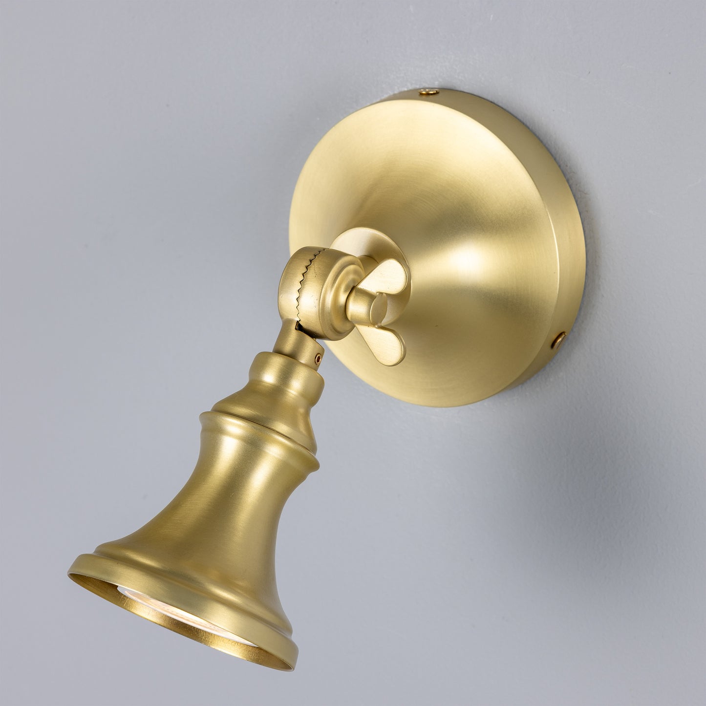 Accra Traditional Adjustable Brass Wall Spotlight