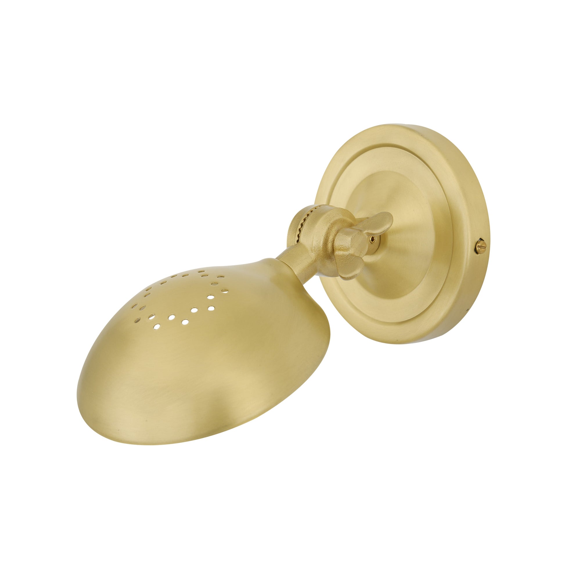 Cody Adjustable Vintage Brass Wall Light Product Shot