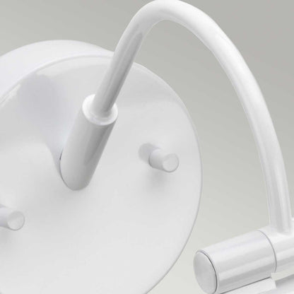 Alton Light Large LED Picture Light in White