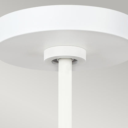 Asher Light Pendant in Matte White & Gold