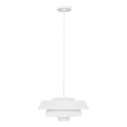 Brisbin Light Pendant in Matte White
