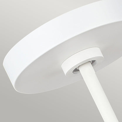 Brisbin Light Pendant in Matte White
