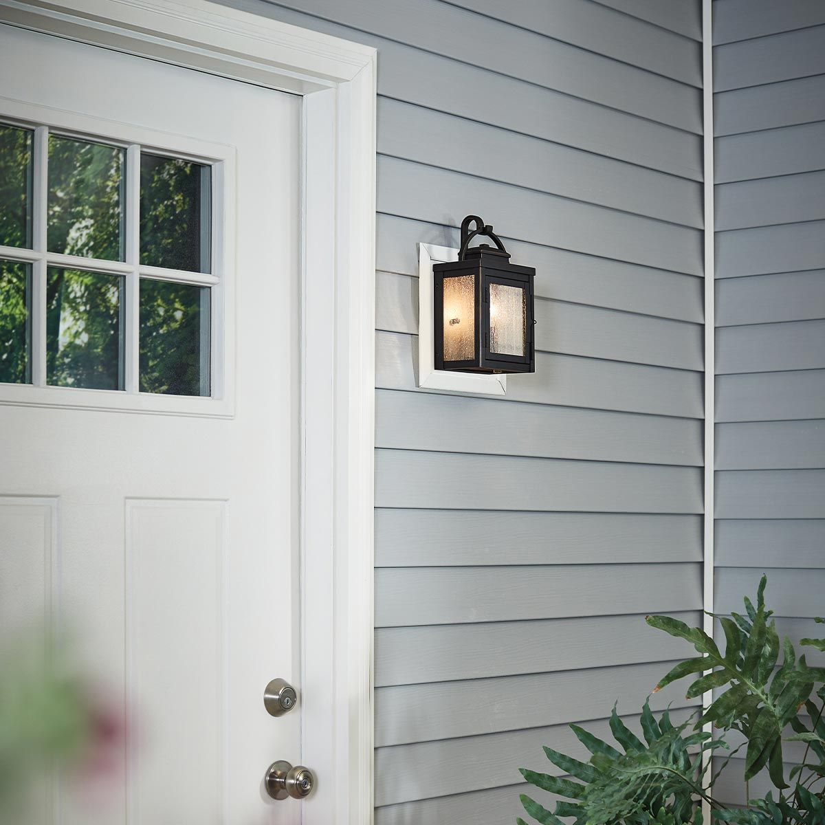 Carlson Light Wall Lantern in Rubbed Bronze