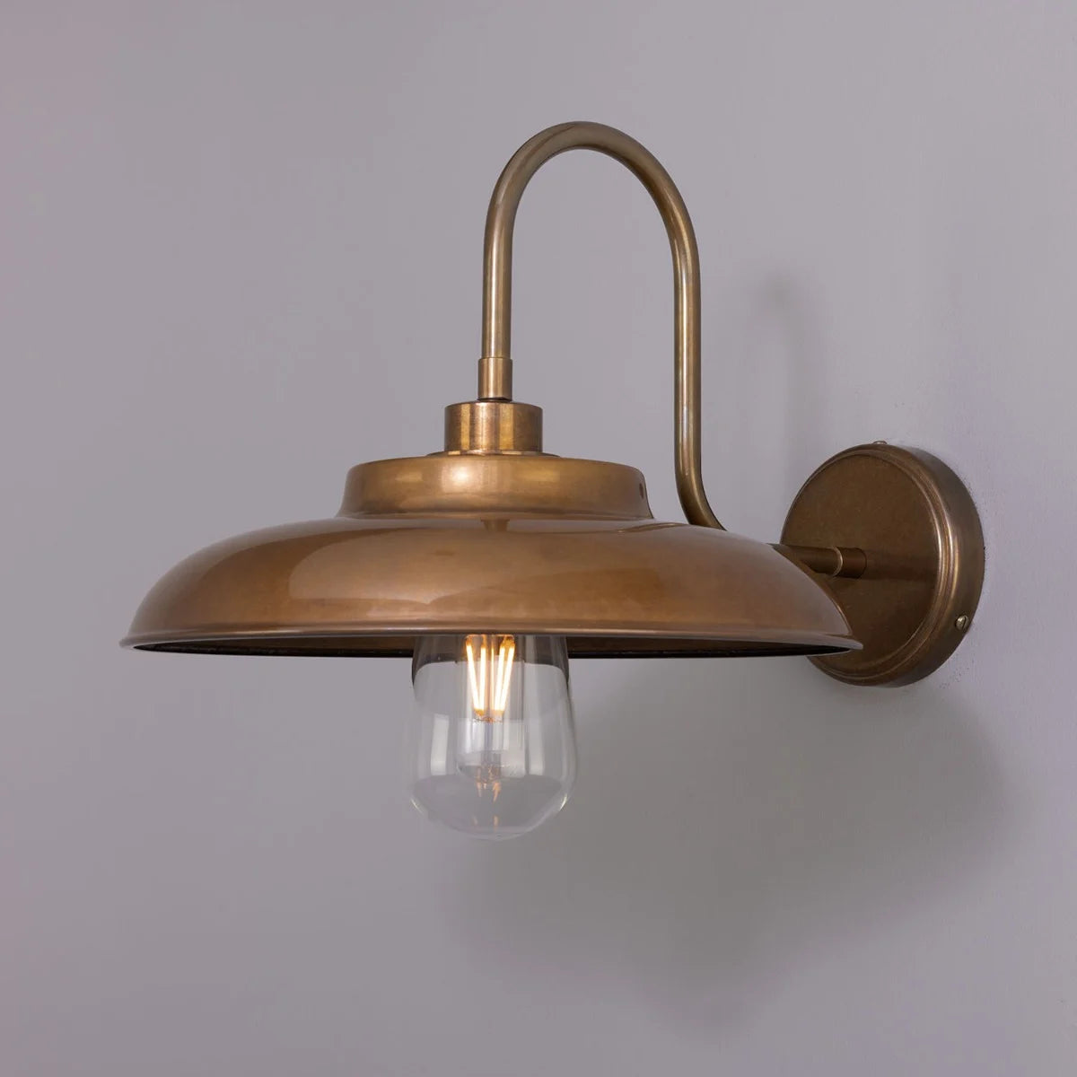 Darya Swan Neck Bathroom Wall Light 32cm