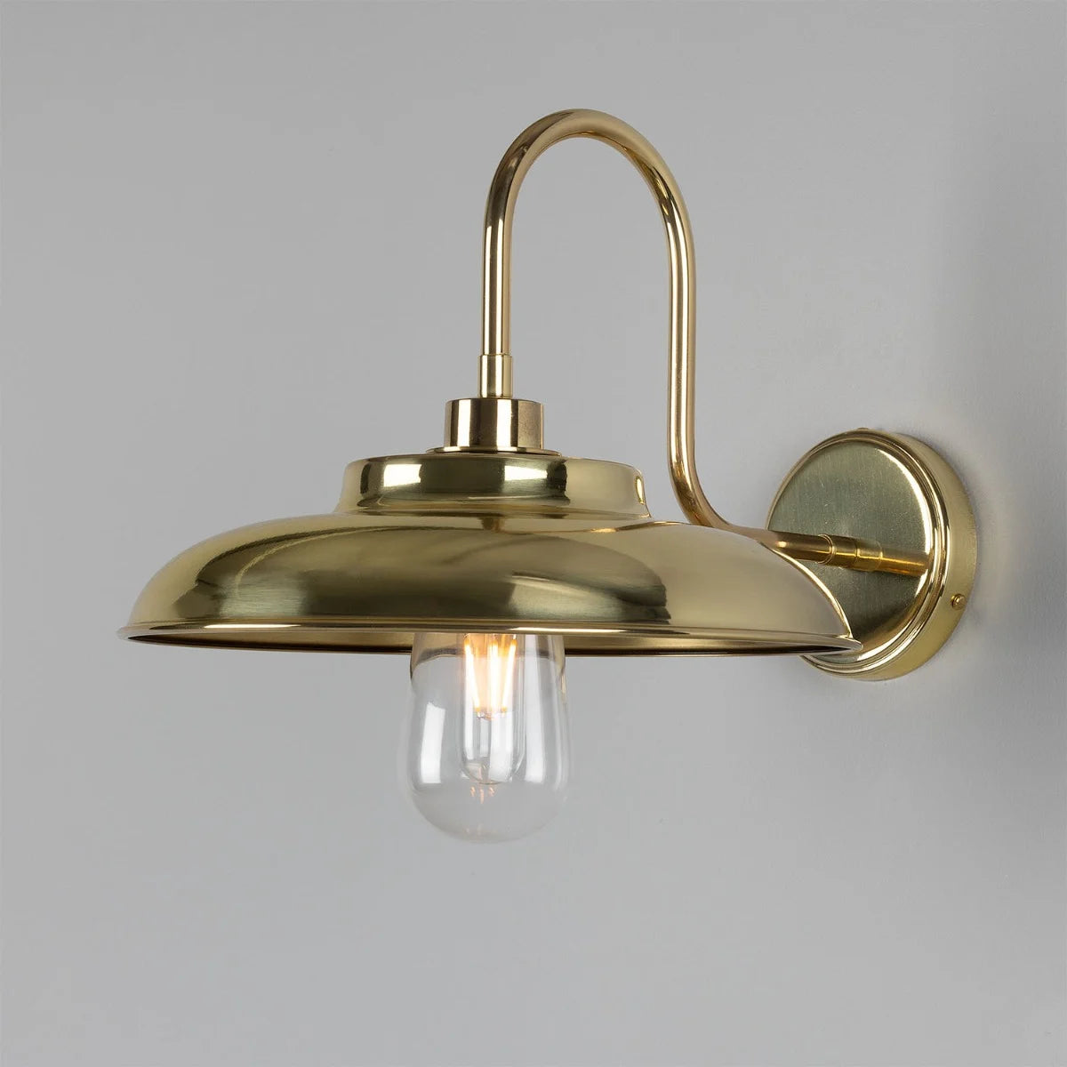 Darya Swan Neck Bathroom Wall Light 32cm