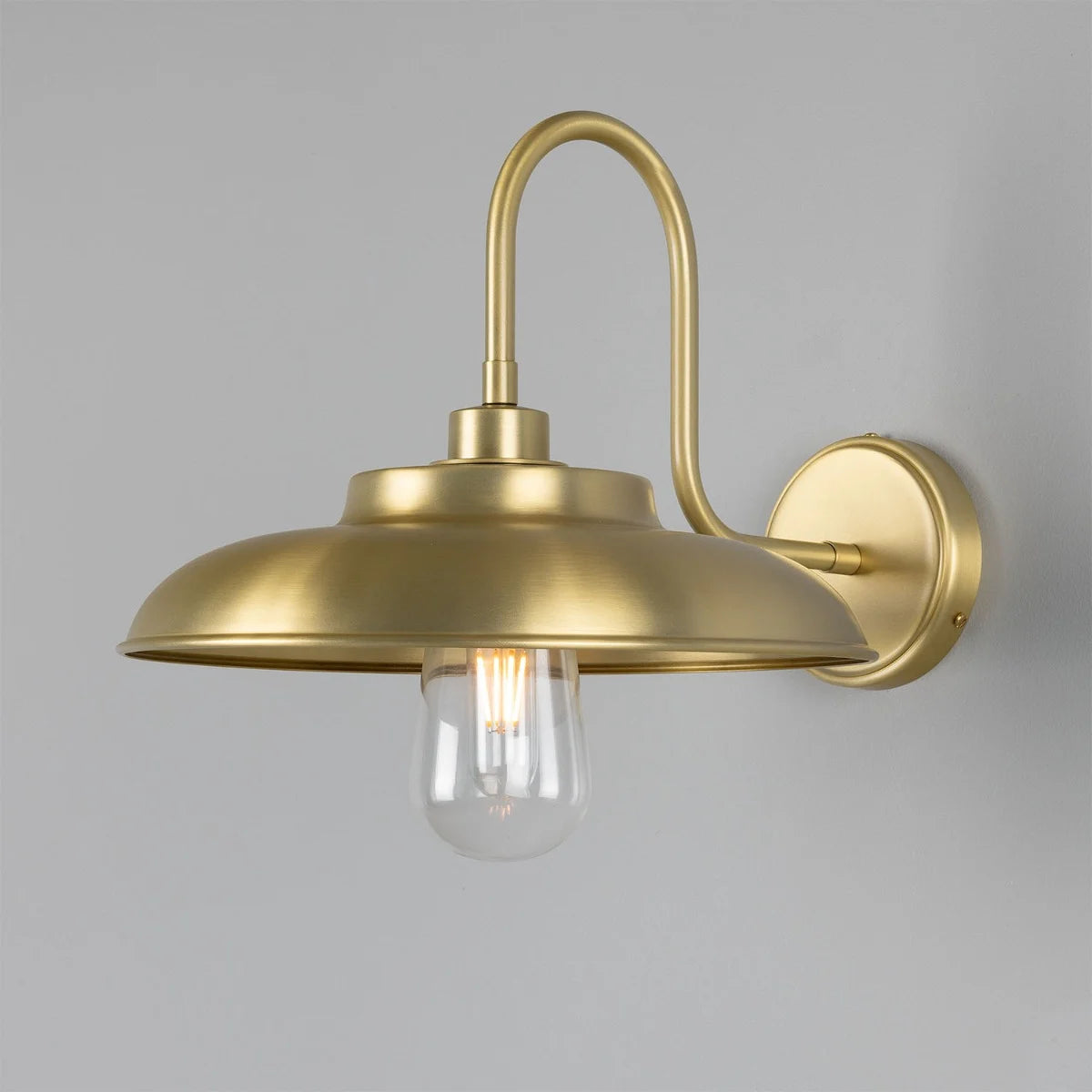 Darya Swan Neck Bathroom Wall Light 32cm