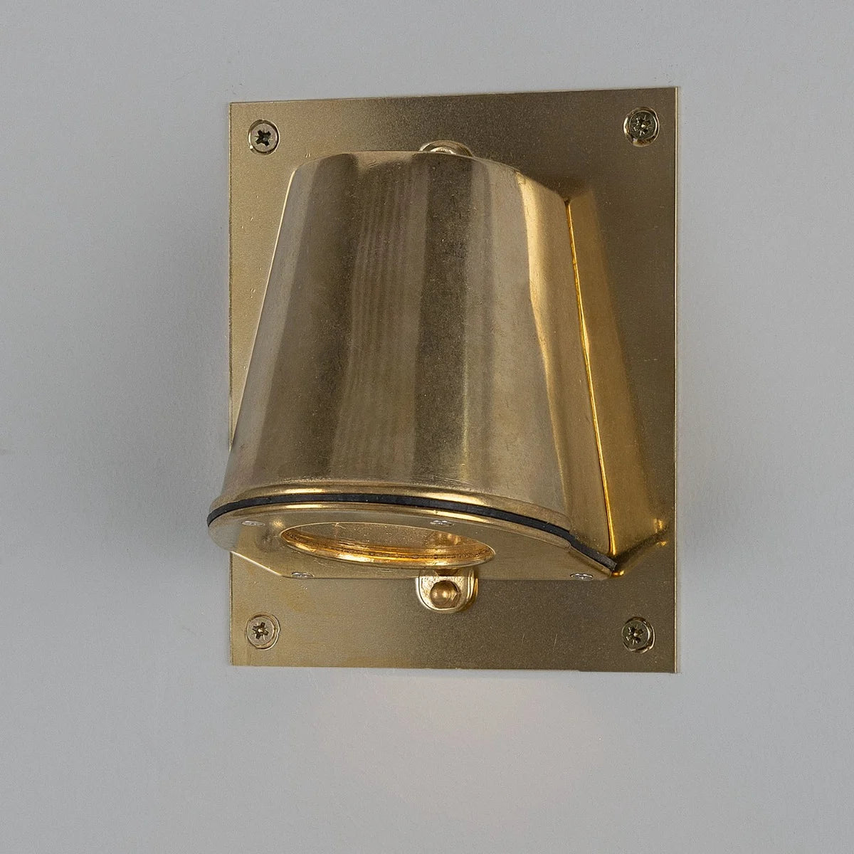 Wade Outdoor Brass Spotlight with Back Plate 15.2cm