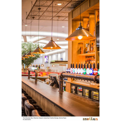 Nerissa Industrial Brass Pendant Light IP65