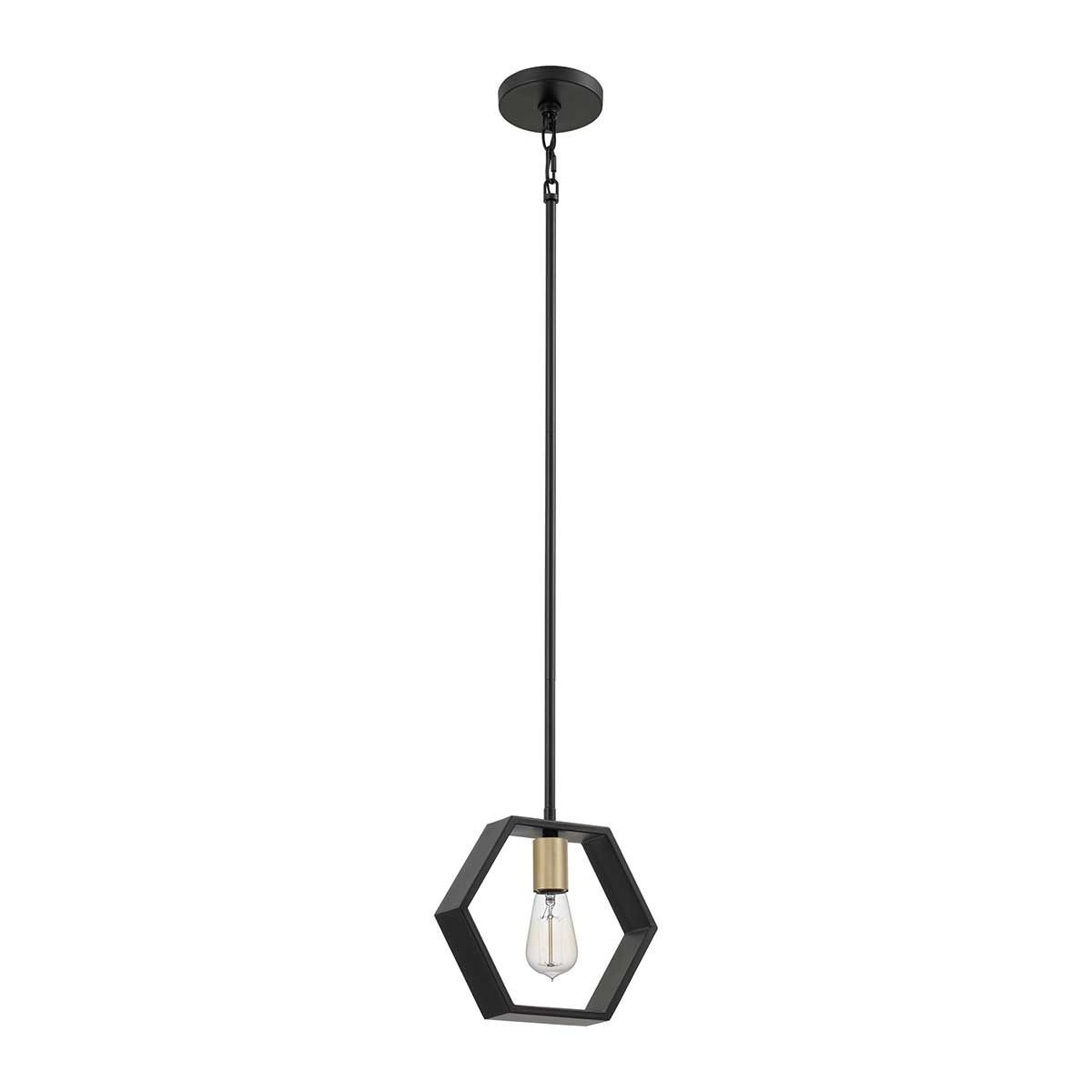 Bismarck Light Mini Pendant in Earth Black